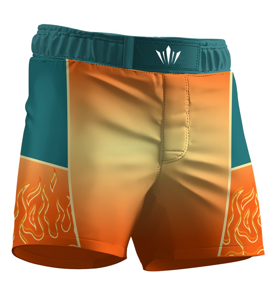 Fight Shorts — example of a custom sublimated garment